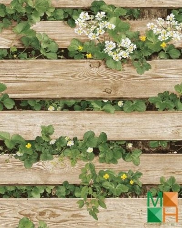 Tư vấn cách chọn giấy dán tường văn phòng phù hợp