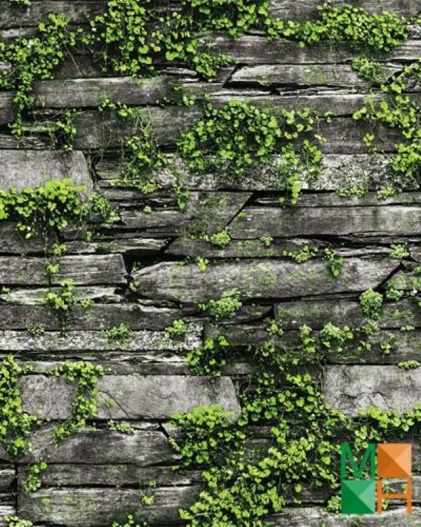 Giấy dán tường quán trà sữa đẹp
